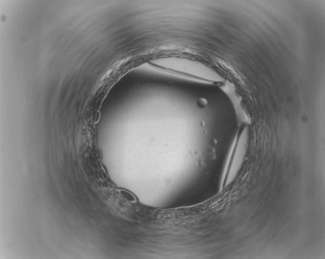 X0000059100776200510172119