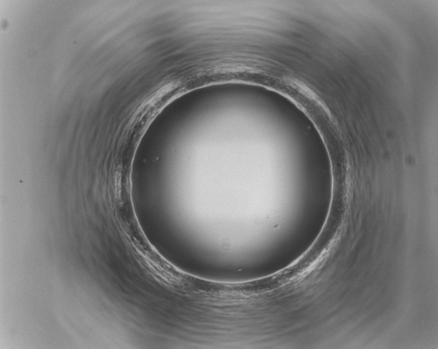 X0000059100777200510172119