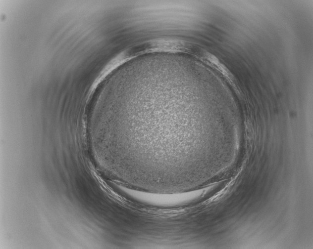 X0000059100779200510172119