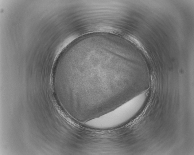 X0000059100780200510172119