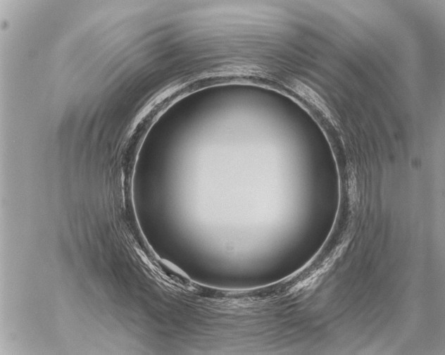 X0000059100781200510172119