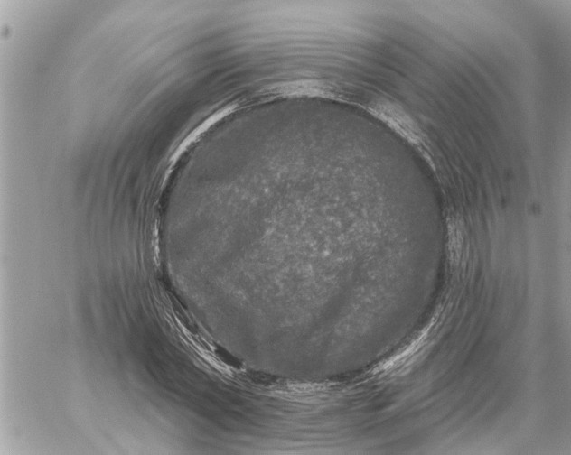 X0000059100782200510172119