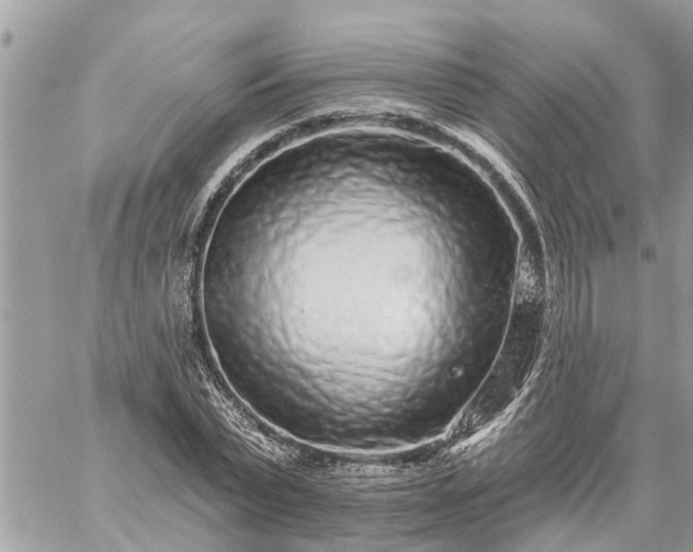 X0000059100783200510172119