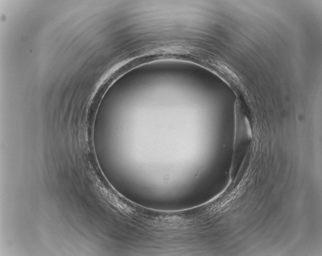 X0000059100784200510172119