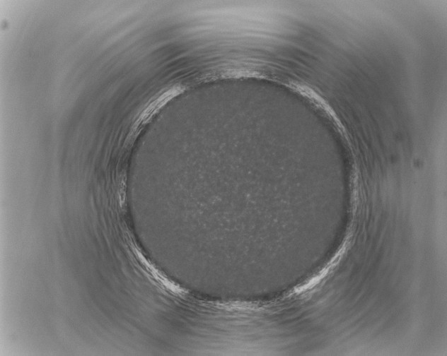 X0000059100785200510172119