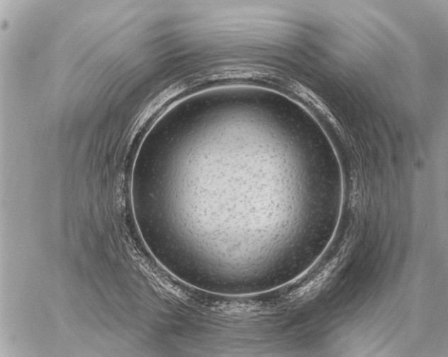 X0000059100786200510172119