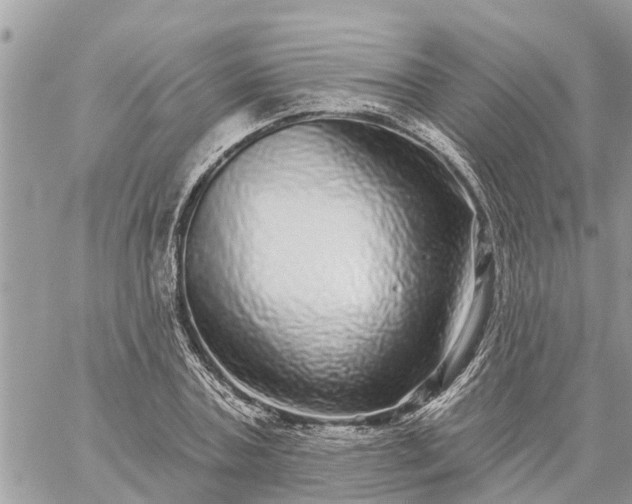 X0000059100787200510172119