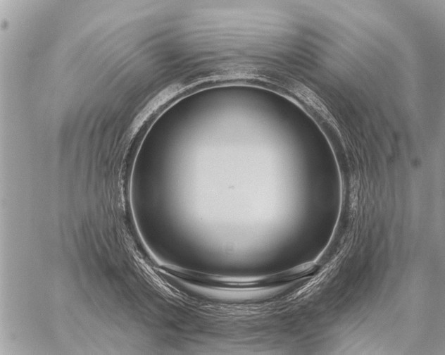 X0000059100789200510172119