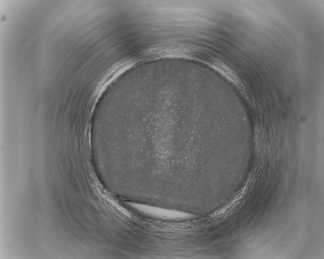 X0000059100790200510172119