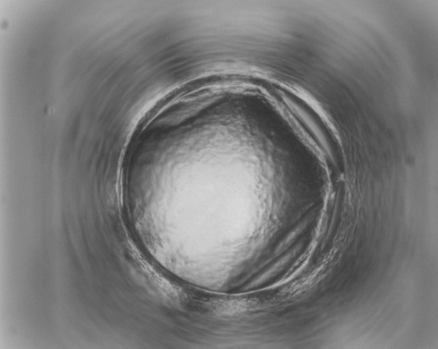 X0000059100791200510172119