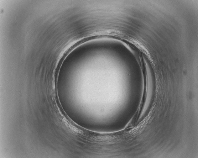 X0000059100792200510172119