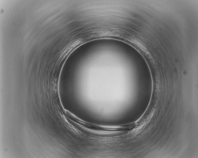 X0000059100793200510172118