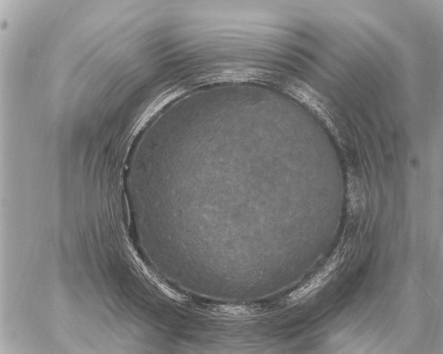 X0000059100794200510172118