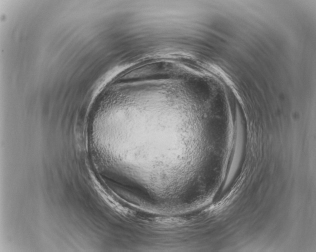 X0000059100795200510172118