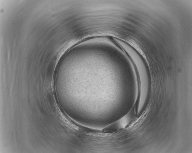 X0000059100797200510172118