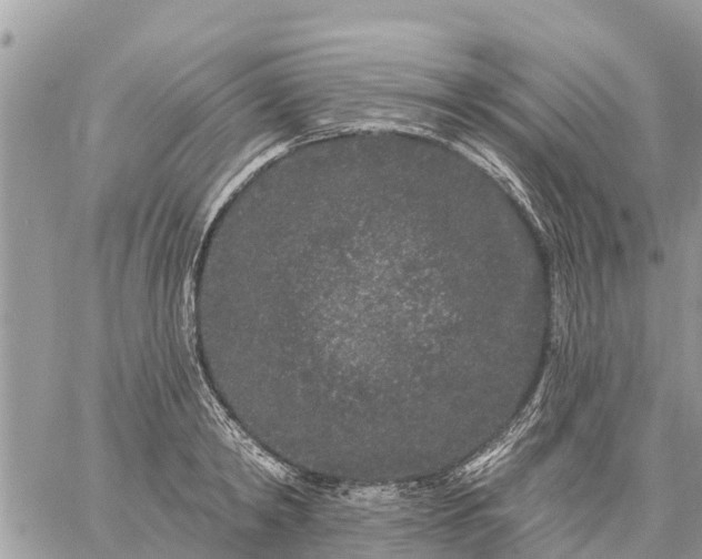 X0000059100798200510172118