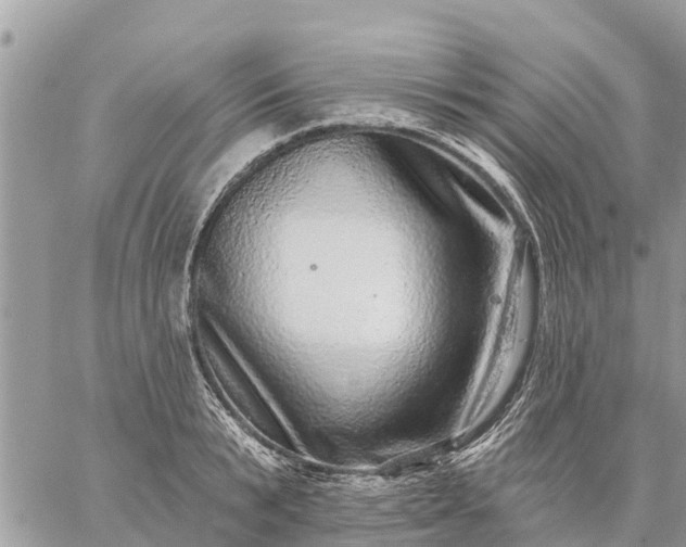 X0000059100799200510172118