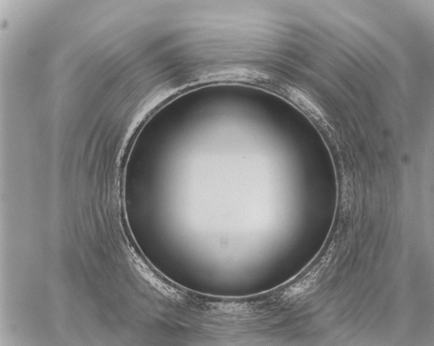 X0000059100800200510172118