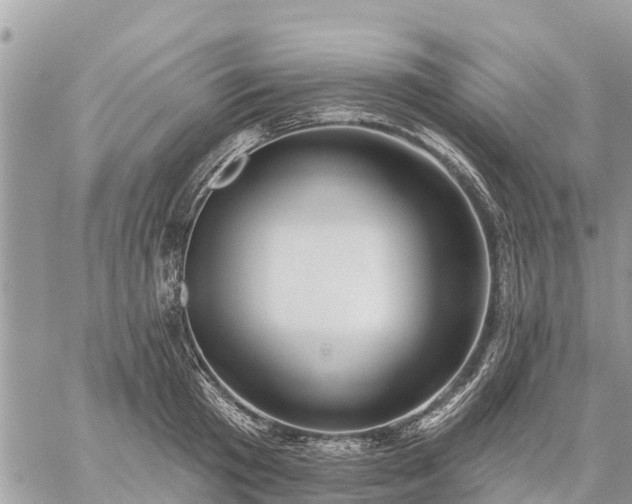 X0000059100801200510172118