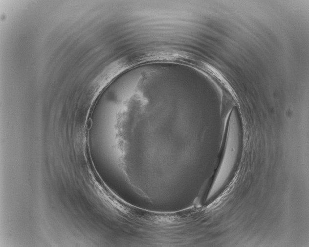 X0000059100802200510172118