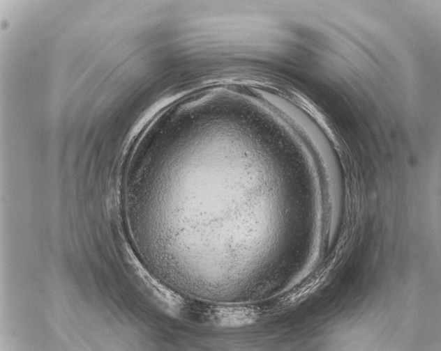 X0000059100803200510172118