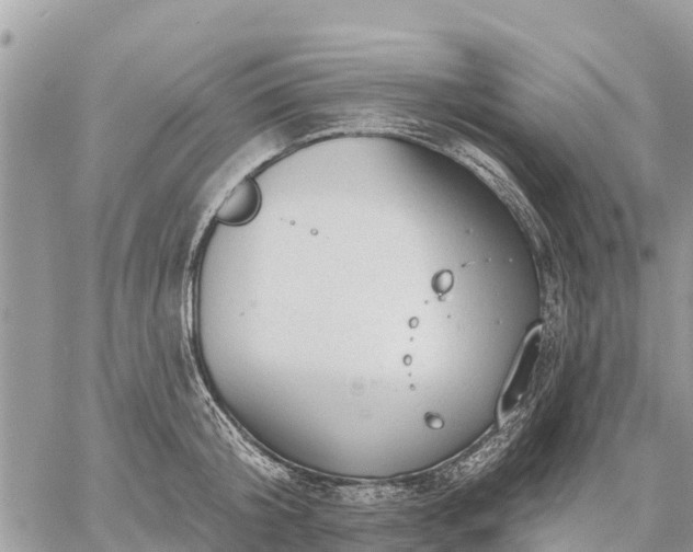 X0000059100804200510172118