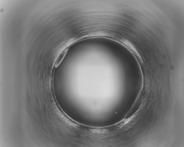 X0000059100805200510172118