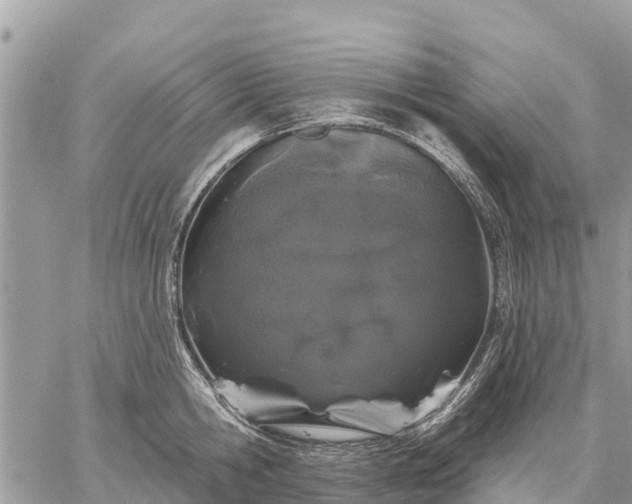 X0000059100806200510172118