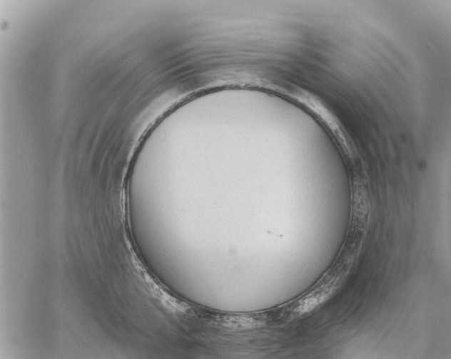 X0000059100807200510172118