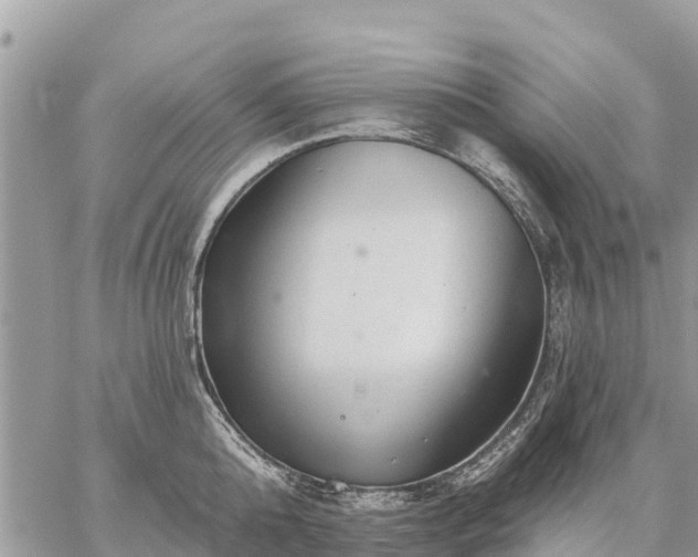 X0000059100808200510172118