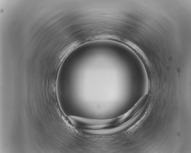 X0000059100809200510172118