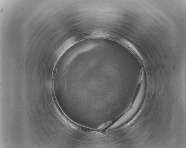 X0000059100810200510172118