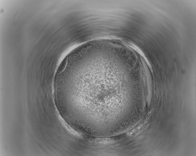 X0000059100811200510172118