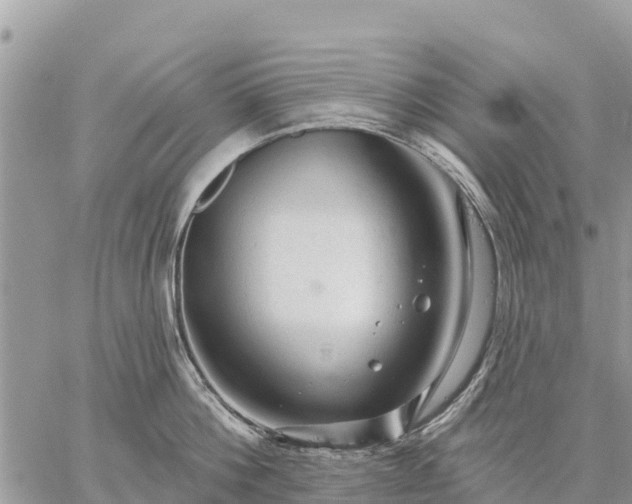 X0000059100812200510172118