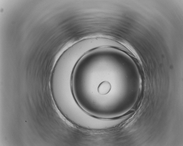 X0000059100813200510172118