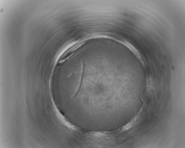 X0000059100814200510172118