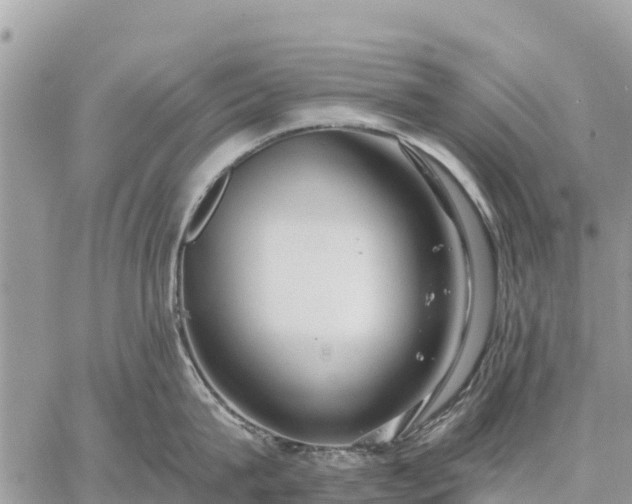 X0000059100815200510172118