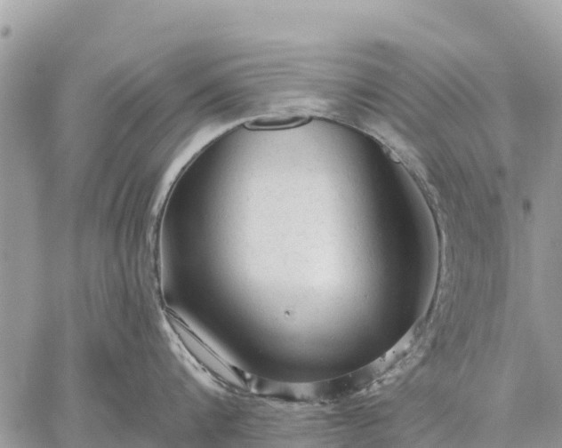 X0000059100816200510172118