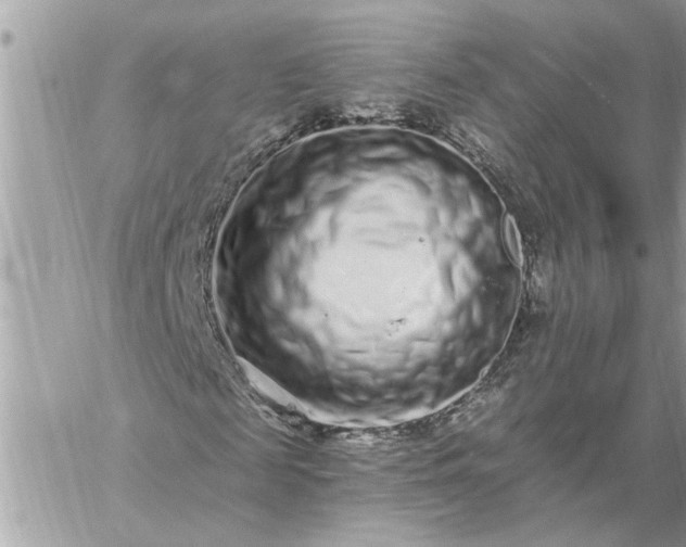 X0000059100817200510172117