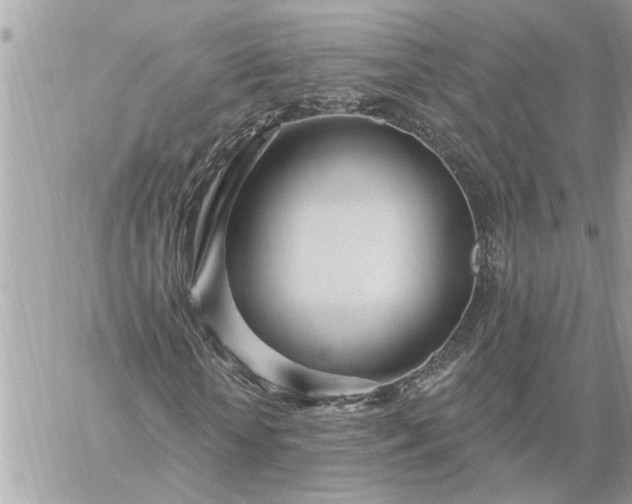 X0000059100818200510172117