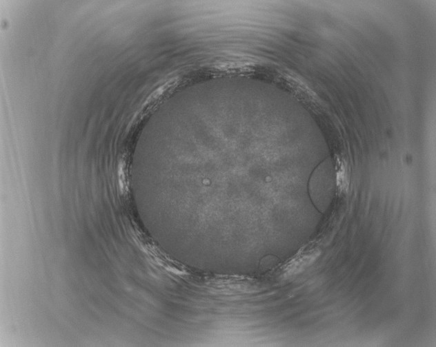 X0000059100819200510172117