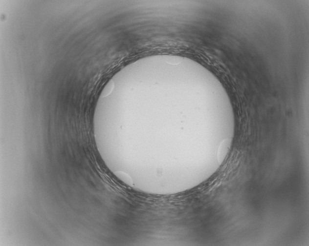 X0000059100820200510172117