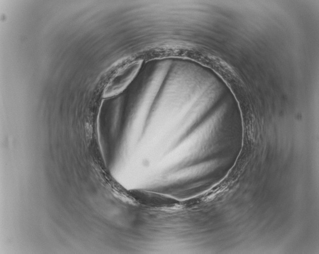 X0000059100821200510172117