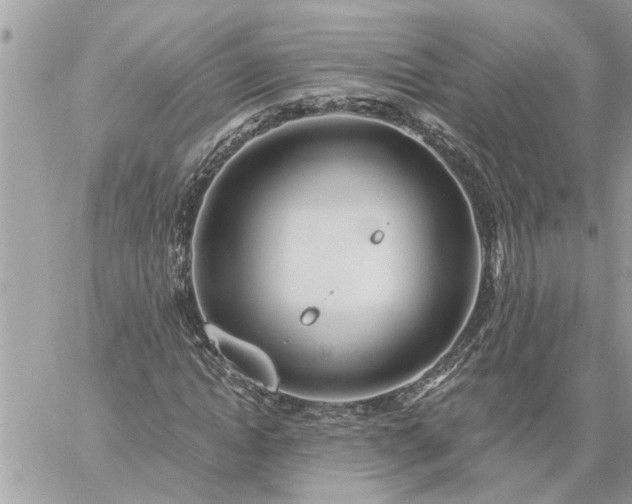 X0000059100822200510172117