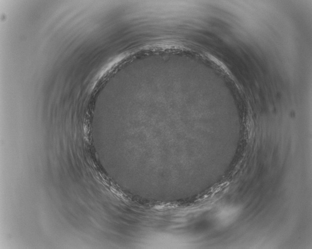 X0000059100823200510172117