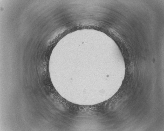 X0000059100824200510172117