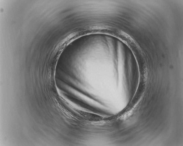 X0000059100825200510172117