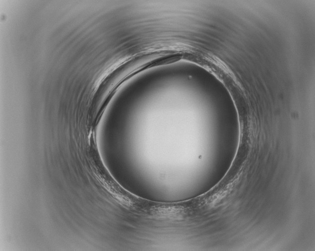 X0000059100826200510172117