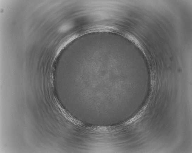 X0000059100827200510172117