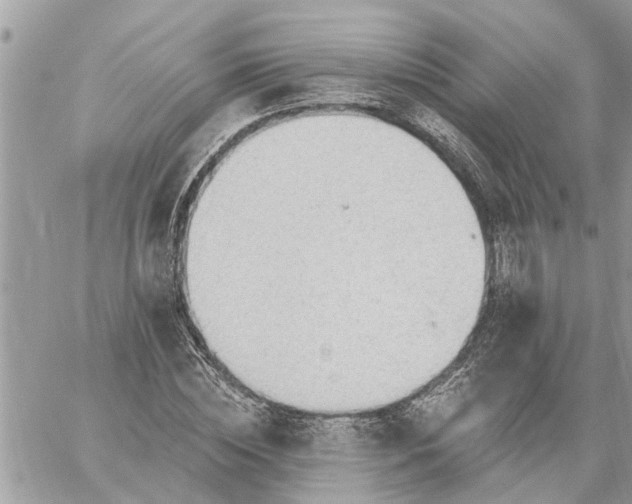 X0000059100828200510172118